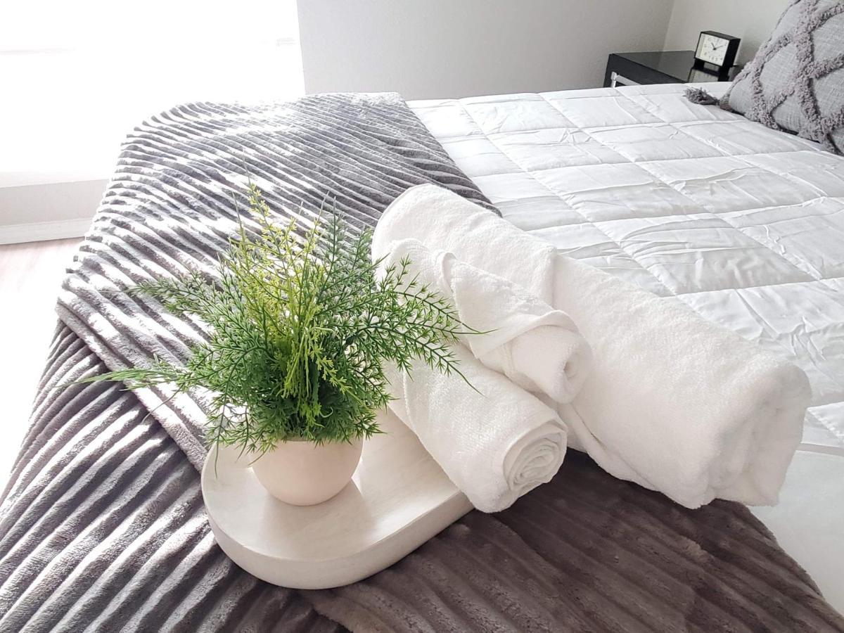 هيوستن Fashionable Stylish Apartment المظهر الخارجي الصورة